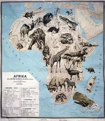 Karte der Tiere Afrikas Sf